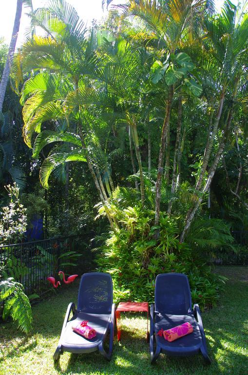 Pink Flamingo Resort Port Douglas Buitenkant foto