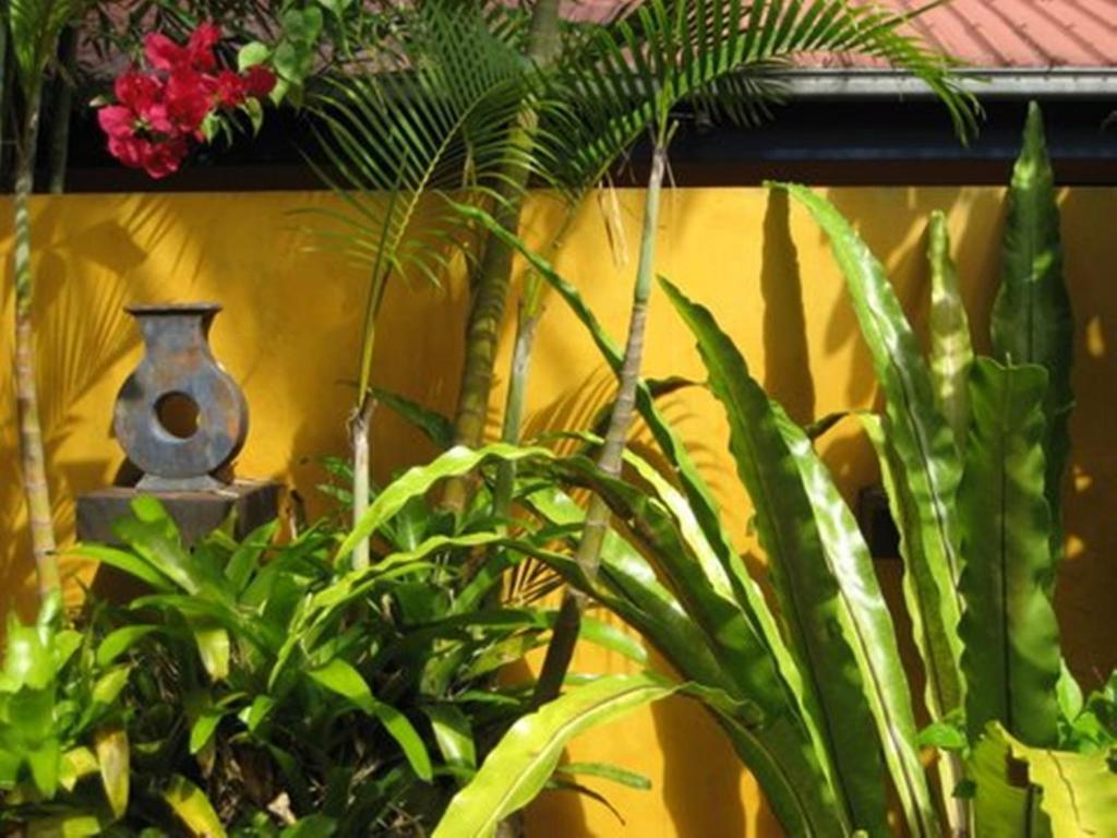 Pink Flamingo Resort Port Douglas Buitenkant foto