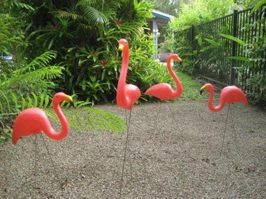 Pink Flamingo Resort Port Douglas Buitenkant foto