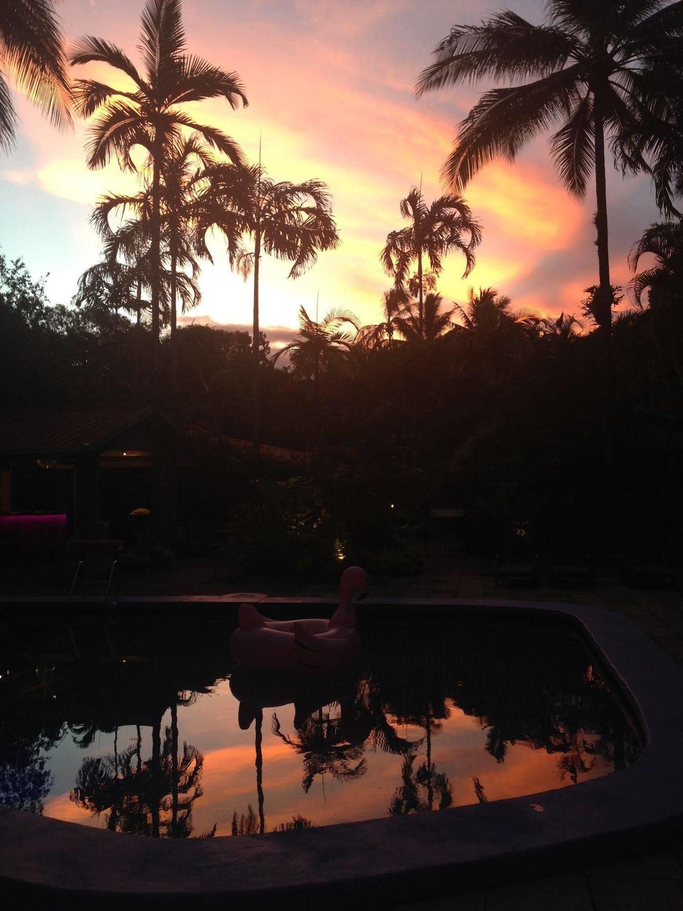 Pink Flamingo Resort Port Douglas Buitenkant foto