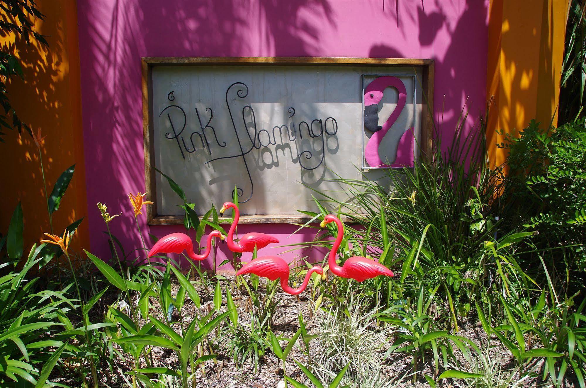 Pink Flamingo Resort Port Douglas Buitenkant foto